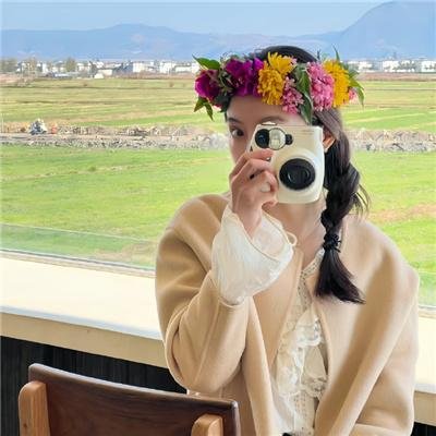 好莱坞结局 在线观看